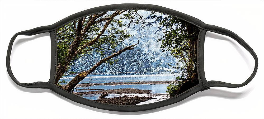 Creeks Face Mask featuring the photograph Barnes Creek at Lake Crescent - Washington by Marie Jamieson
