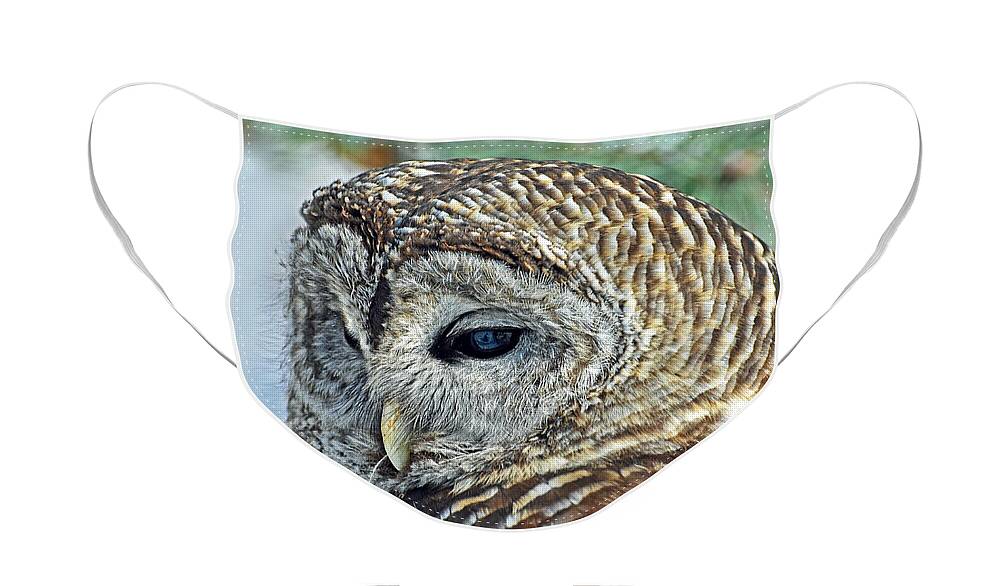 Owl Face Mask featuring the photograph Barred Owl Portrait by Rodney Campbell