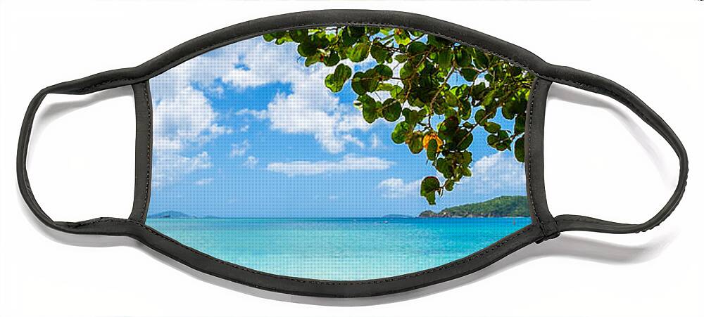 Caribbean Face Mask featuring the photograph Beautiful Caribbean beach by Raul Rodriguez