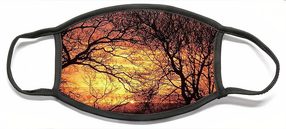 Sunrise Face Mask featuring the photograph Fiery Dawn Trees by Richard Brookes