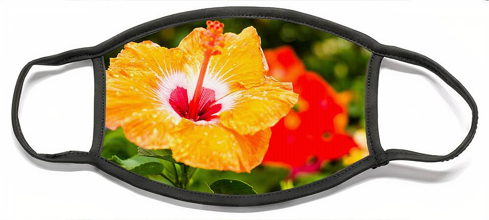 Beautiful Face Mask featuring the photograph Beautiful Hibiscus by Raul Rodriguez