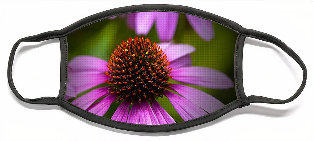 Echinacea Face Mask featuring the photograph Beauty of Life by David Millenheft