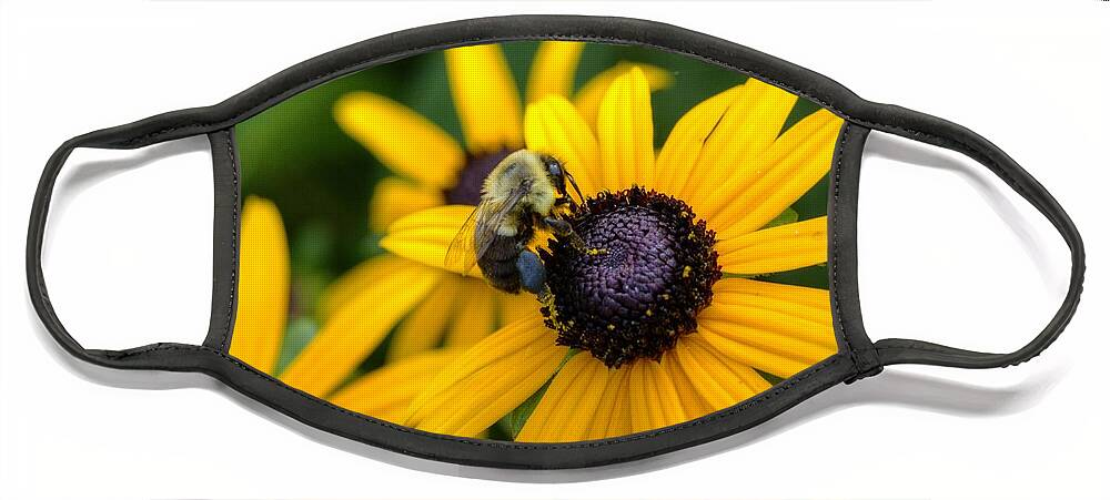 Bee Face Mask featuring the photograph Bee 2 by Deborah Ritch