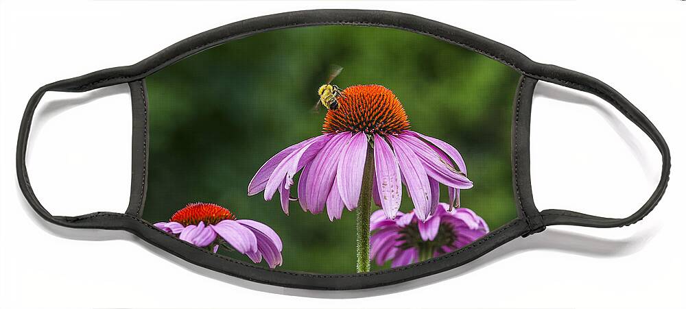 Bee Face Mask featuring the photograph Bee and Flowers by Cathy Kovarik