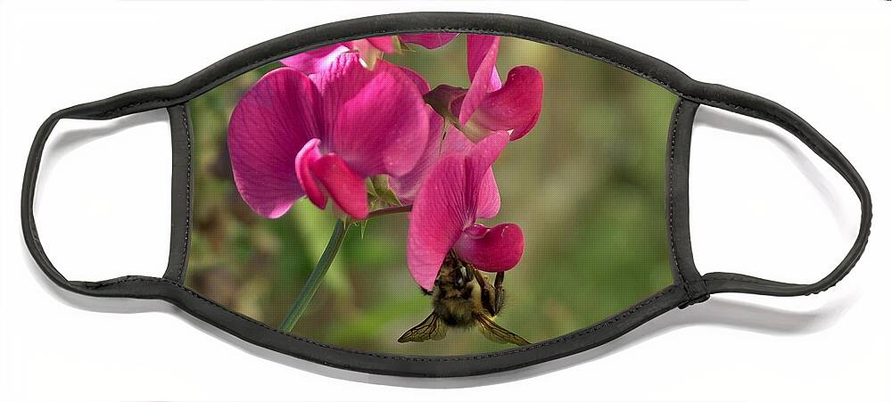 Still Life Face Mask featuring the photograph Bee Hanging Around by Wayne Enslow