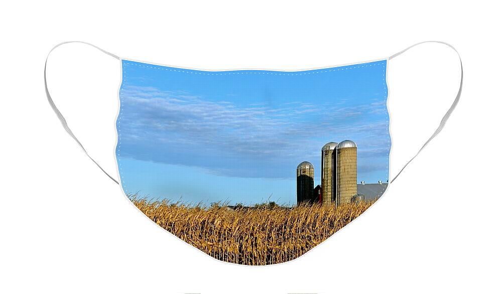 Amish Face Mask featuring the photograph Bent Corn and Silos by Tana Reiff
