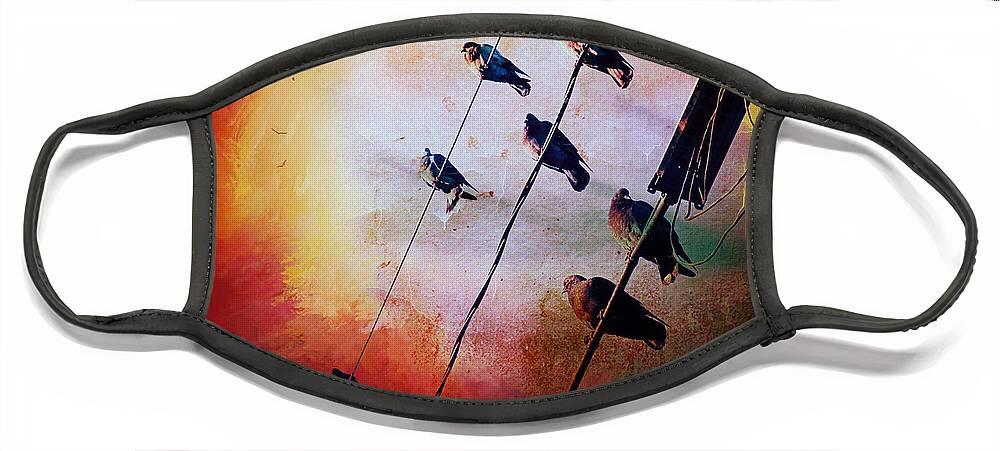 Birds On A Wire Face Mask featuring the photograph Birds On A Wire by Micki Findlay