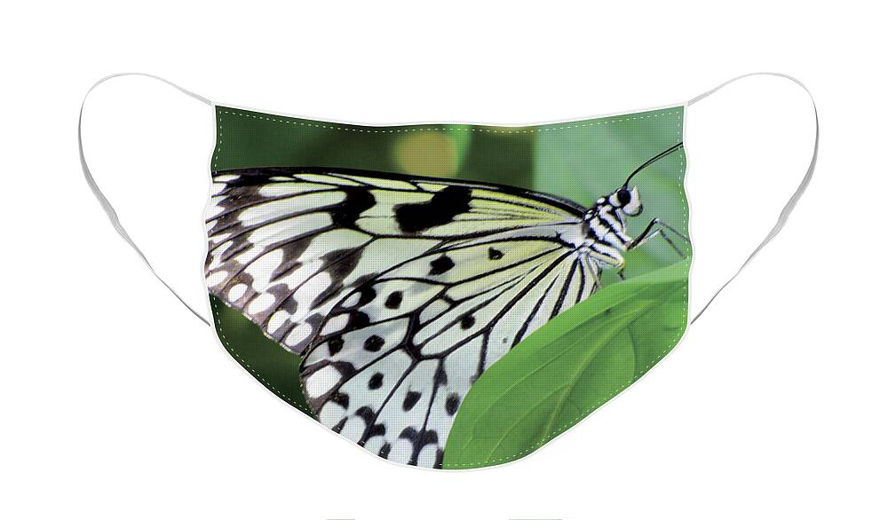 Butterfly Face Mask featuring the digital art Black and White Butterfly by Bob Slitzan