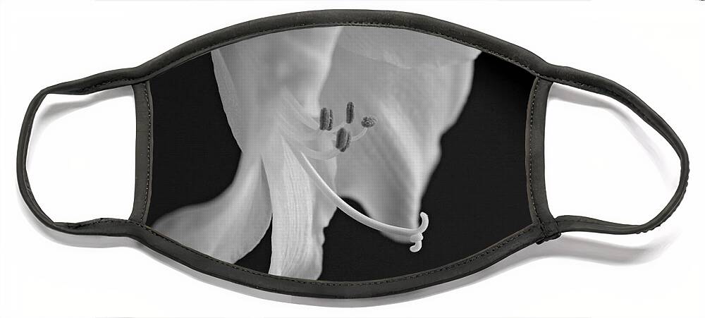 Lily Face Mask featuring the photograph Black and White Lily by Jayne Carney