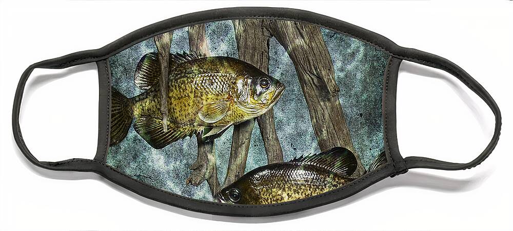Art Face Mask featuring the photograph Black Crappies a Fish Image No 0143 Blue version by Randall Nyhof