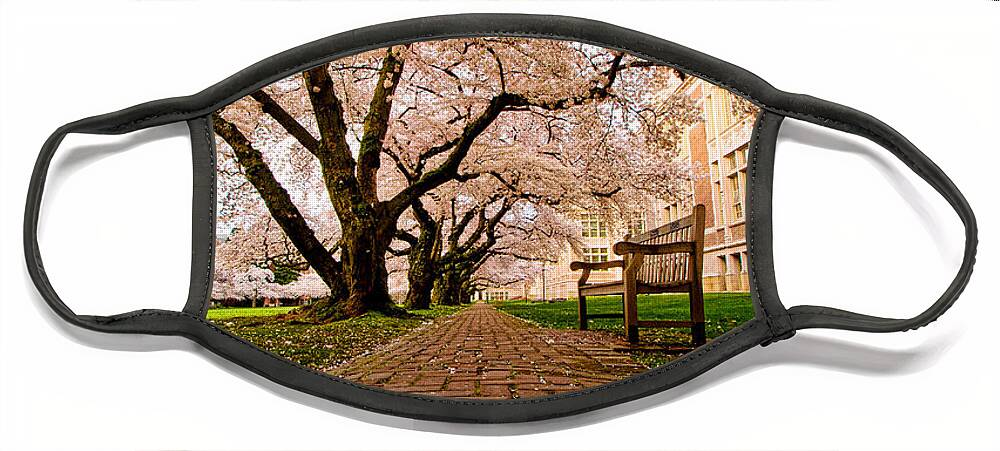 University Of Washington Face Mask featuring the photograph Blooming Giants by Dan Mihai