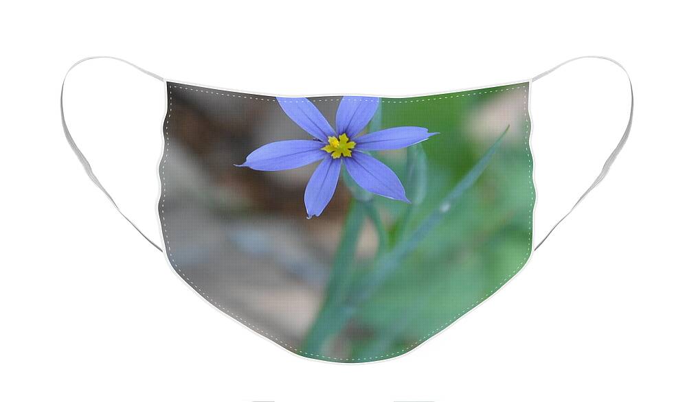 Blue Face Mask featuring the photograph Blue Flower by Frank Madia