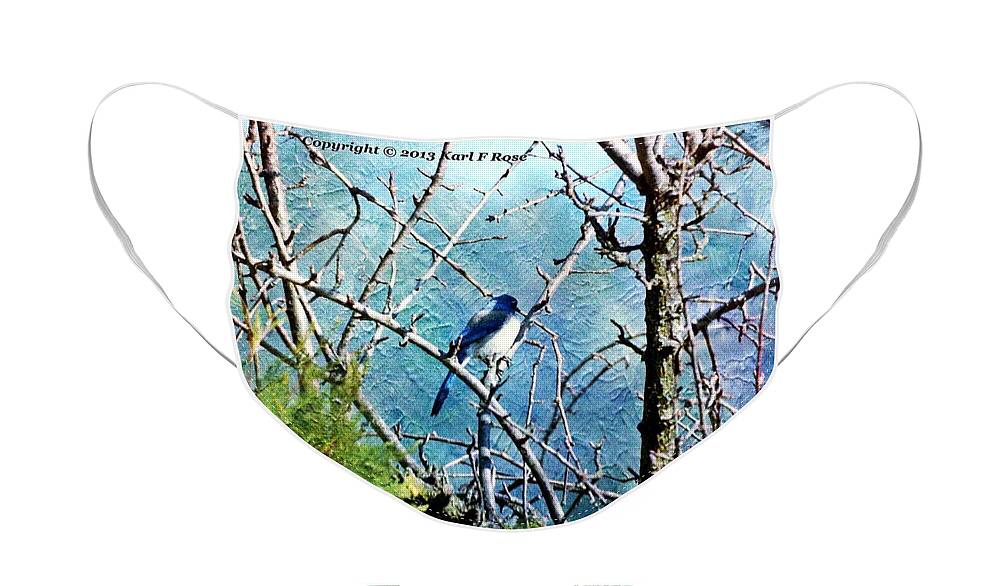 Birds Face Mask featuring the photograph Blue jay in tree as a painting by Karl Rose