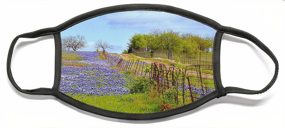 Bluebonnets Photoreal Face Mask featuring the photograph Blue Road Up A Hill by Pamela Smale Williams