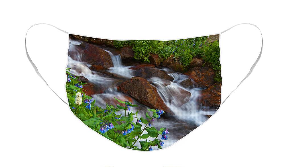 Stream Face Mask featuring the photograph Bluebell Creek by Darren White