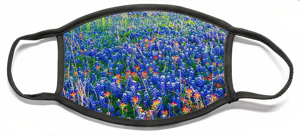America Face Mask featuring the photograph Bluebonnet Carpet by Inge Johnsson