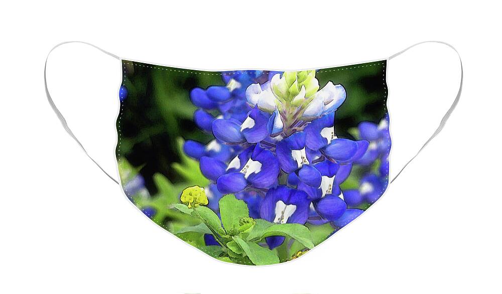 Bluebonnet Face Mask featuring the photograph Bluebonnets Blooming by Stephen Anderson