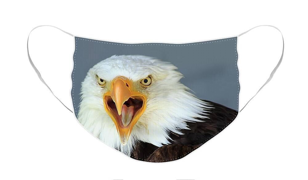 Animal Face Mask featuring the photograph Bald Eagle by Teresa Zieba