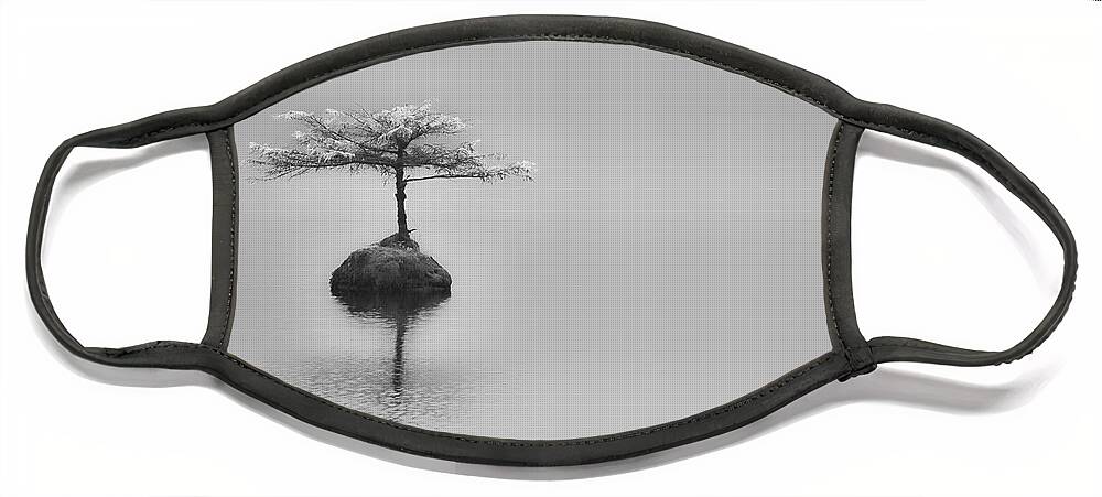 2013 Face Mask featuring the photograph Bonsai at Fairy Lake by Carrie Cole