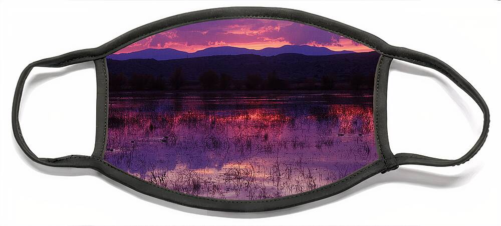 Bosque Face Mask featuring the photograph Bosque sunset - purple by Steven Ralser