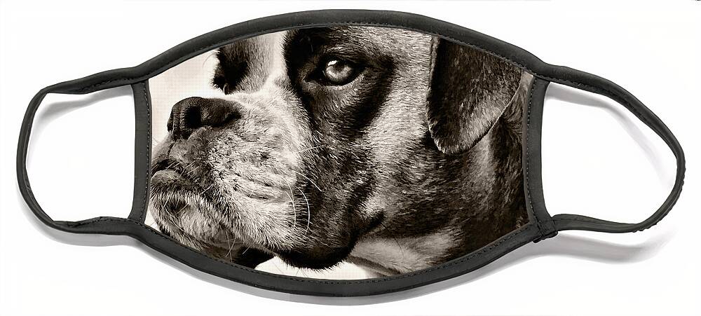 Adorable Face Mask featuring the photograph Boxer Profile by Lana Trussell