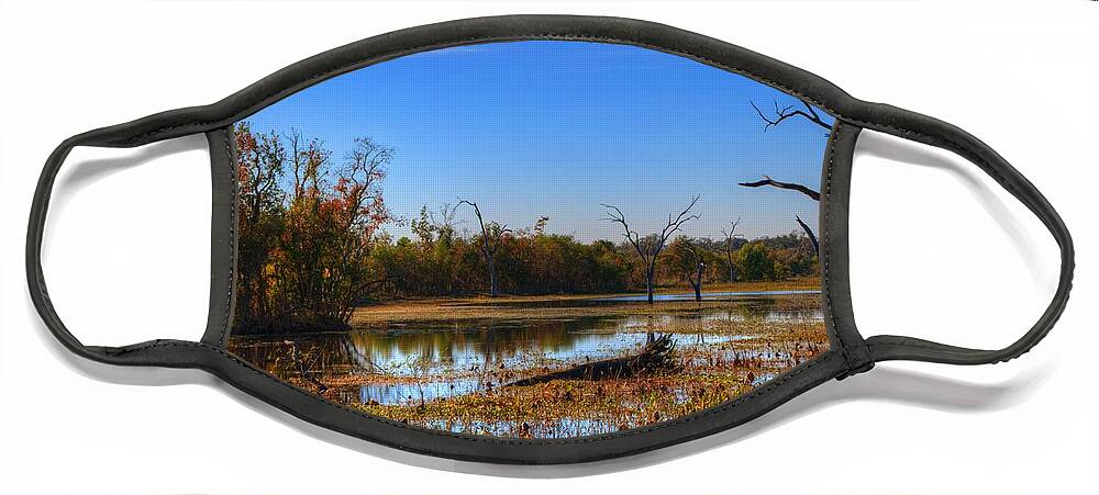 Swamp Face Mask featuring the photograph Brazos Bend Swamp by David Morefield