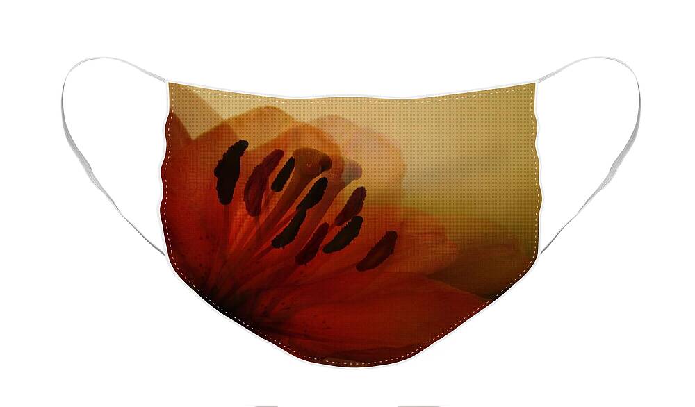 Breath Of The Lily Face Mask featuring the photograph Breath of The Lily by Marianna Mills