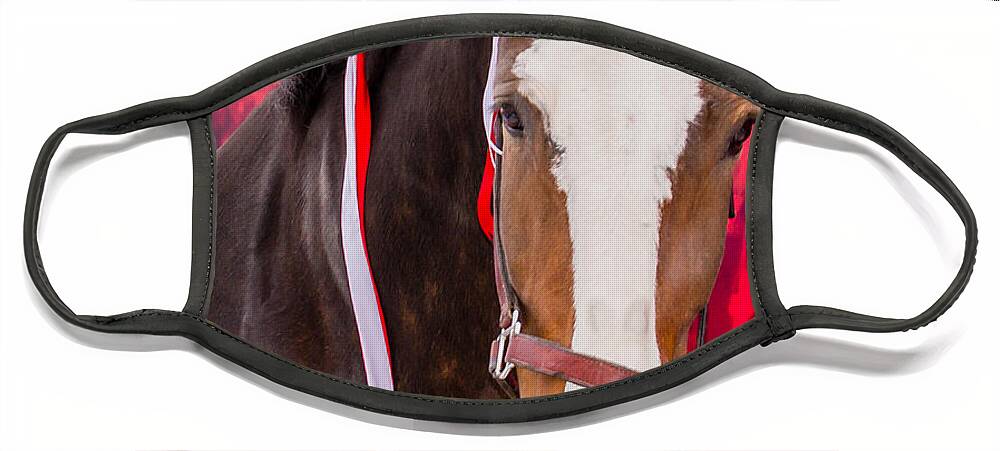 Beer Face Mask featuring the photograph Budweiser Clydesdale by Stacy Abbott