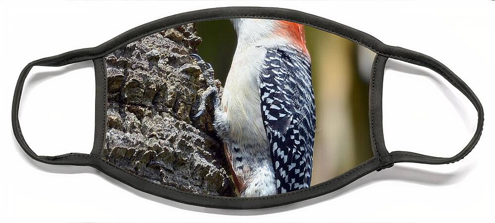 Woodpecker Face Mask featuring the photograph Building A Home by Kathy Baccari