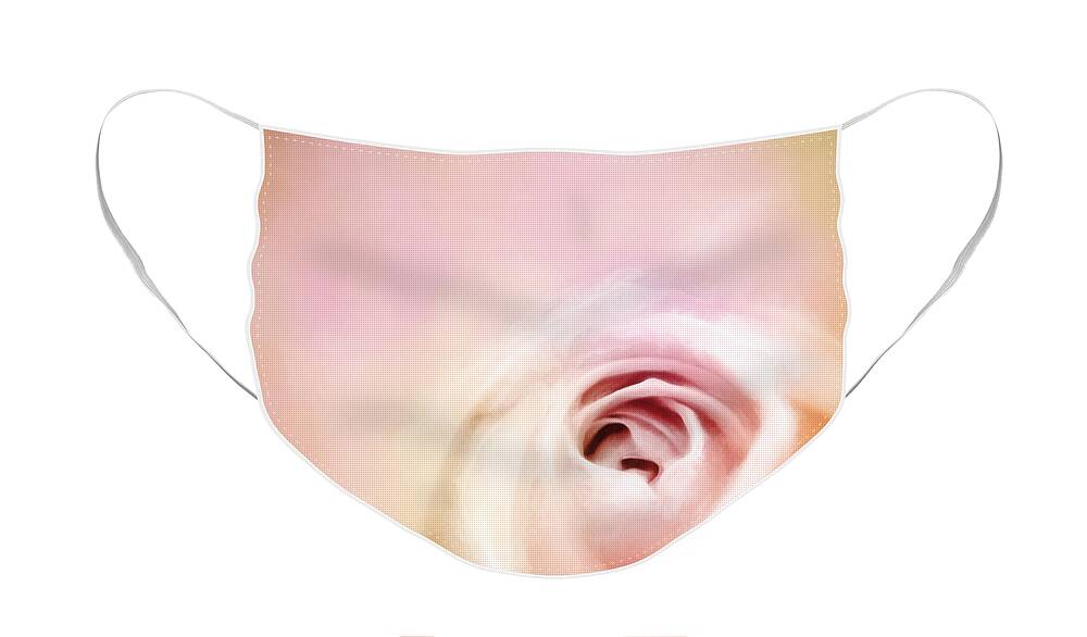 Pink Rose Face Mask featuring the photograph By Any Other Name by Scott Norris