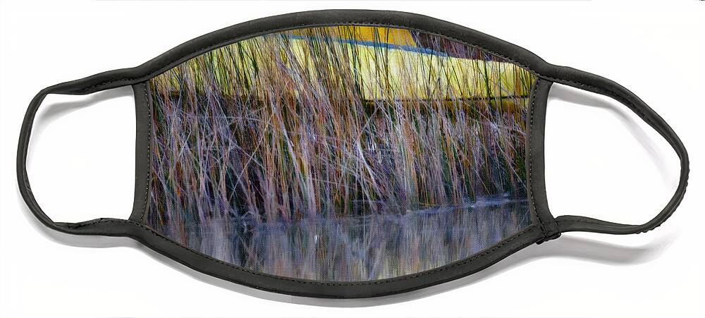 Canoe Face Mask featuring the photograph By The Water by Dale Powell