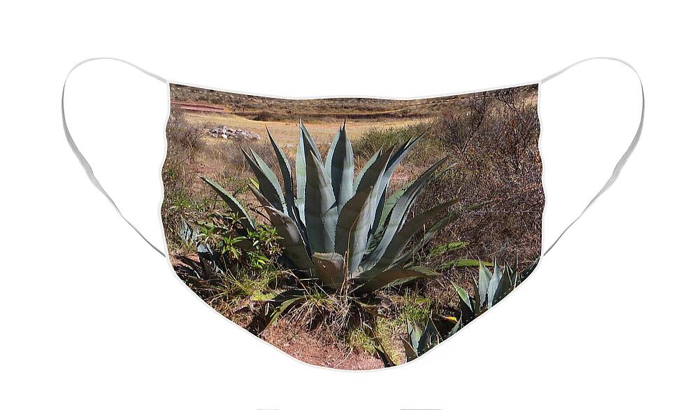 Cactus Face Mask featuring the photograph Cactus in Peru by Margaret Welsh Willowsilk
