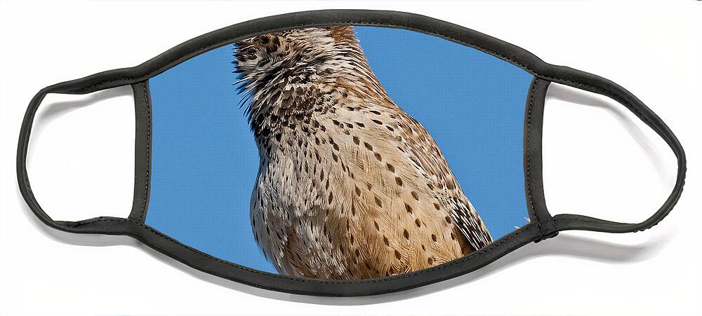 Animal Face Mask featuring the photograph Cactus Wren Singing by Jeff Goulden