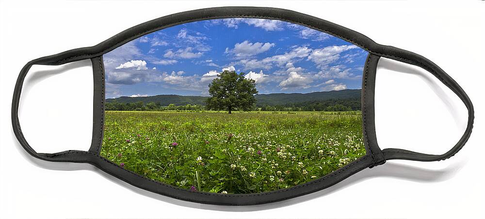 Cades Face Mask featuring the photograph Cades Cove in the Summer by Debra and Dave Vanderlaan