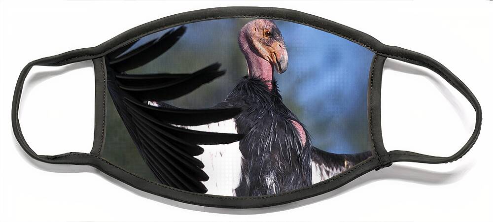 Condor Face Mask featuring the photograph California Condor by Mark Newman