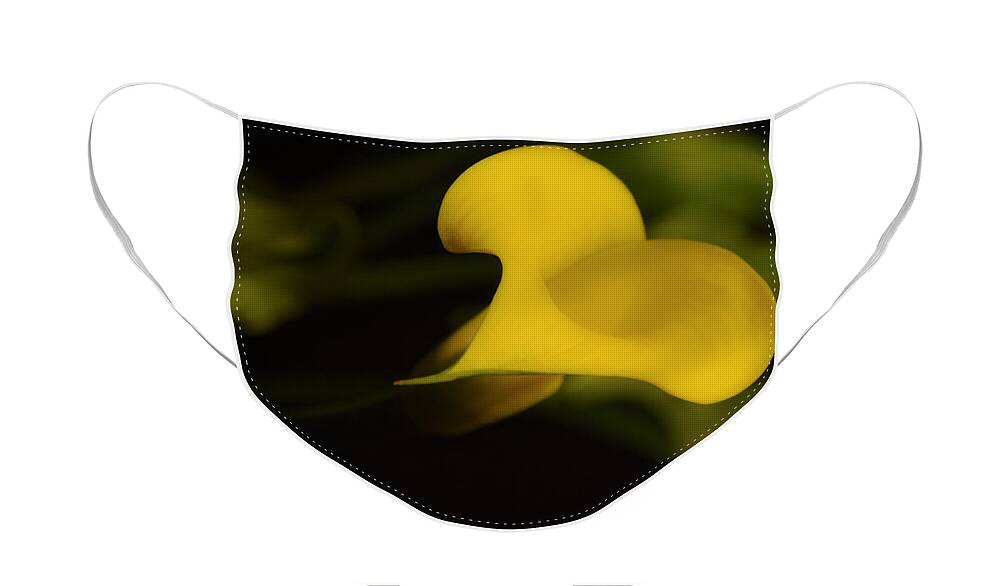 Calla Lilly Face Mask featuring the photograph Calla Lily Yellow III by Ron White