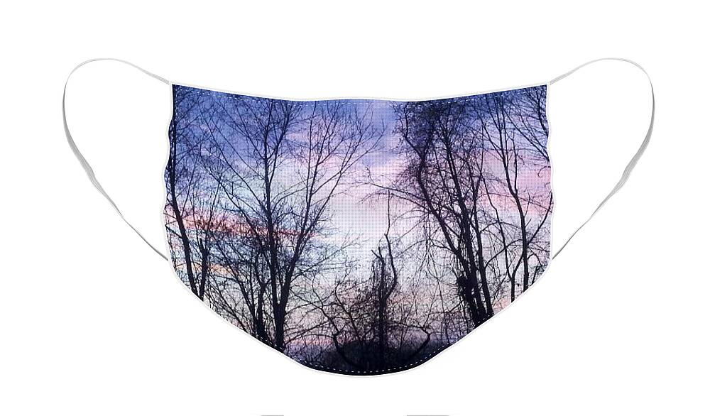 Trees Face Mask featuring the photograph Calm before the Storm by Margaret Welsh Willowsilk