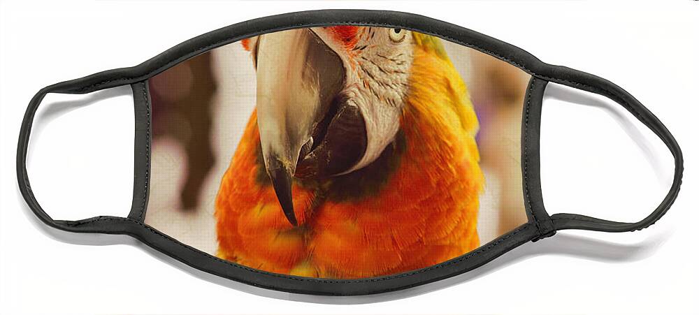 Camelot Face Mask featuring the photograph Camelot Macaw by Kae Cheatham