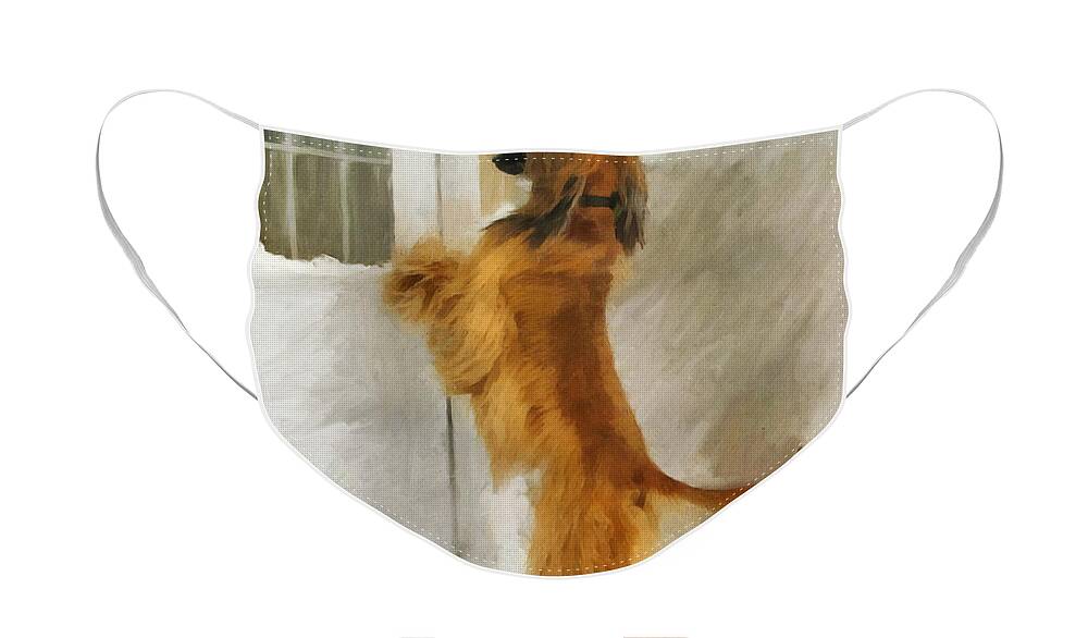 Afghan Hound Face Mask featuring the painting Can I Come In Now? by Diane Chandler