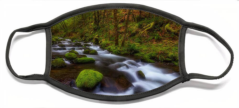 Lush Face Mask featuring the photograph Canopy of Green by Darren White