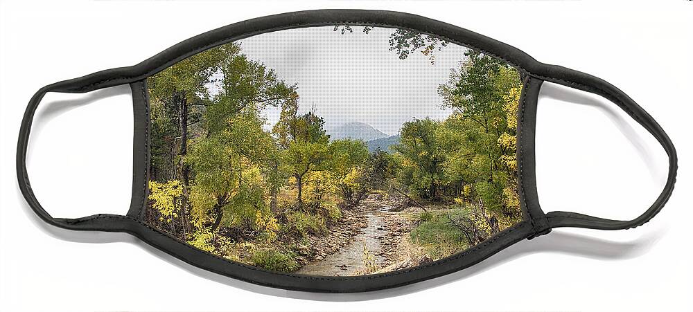 Fall Foliage Face Mask featuring the photograph Canyon Gazing by James BO Insogna