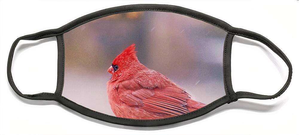 Cardinal Birds Face Mask featuring the photograph Cardinal Bird by Peggy Franz