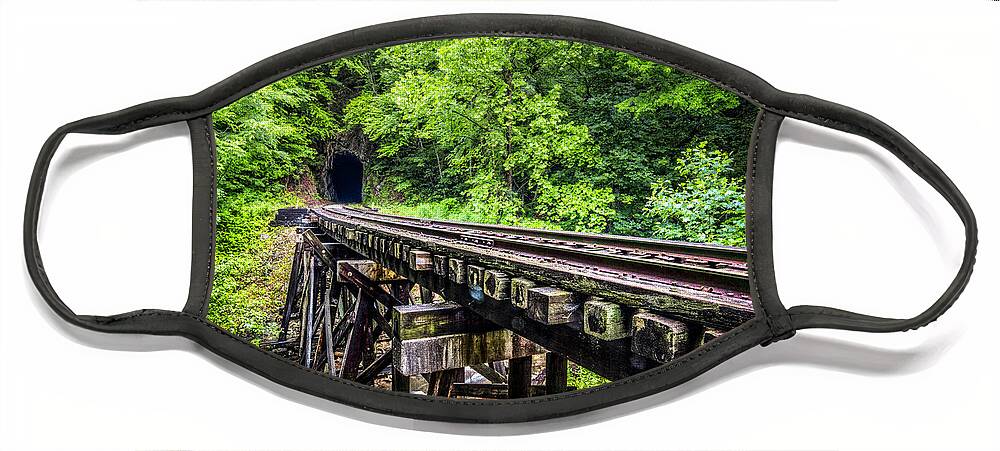 Andrews Face Mask featuring the photograph Carolina Railroad Trestle by Debra and Dave Vanderlaan