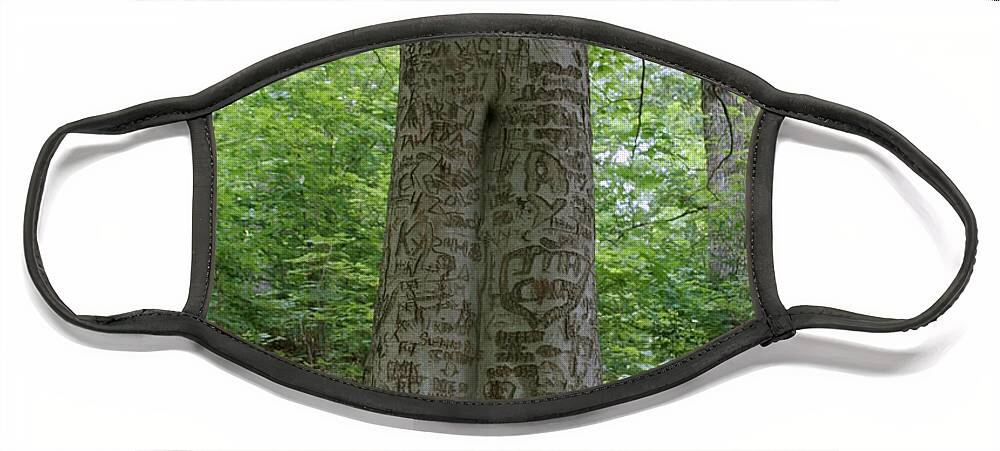 Initials Face Mask featuring the photograph Tennessee Dunbar Cave Carved Tree by Valerie Collins