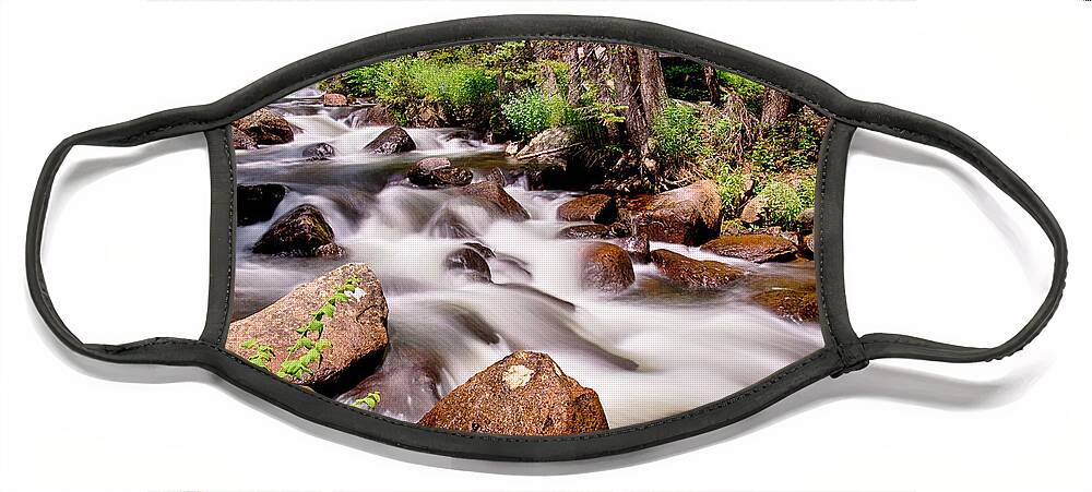 Mountain Stream Face Mask featuring the photograph Cascading Rocky Mountain Forest Creek by James BO Insogna