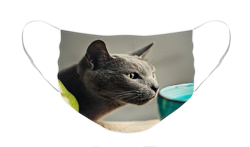 Cat Face Mask featuring the photograph Cat and Pears by Nailia Schwarz