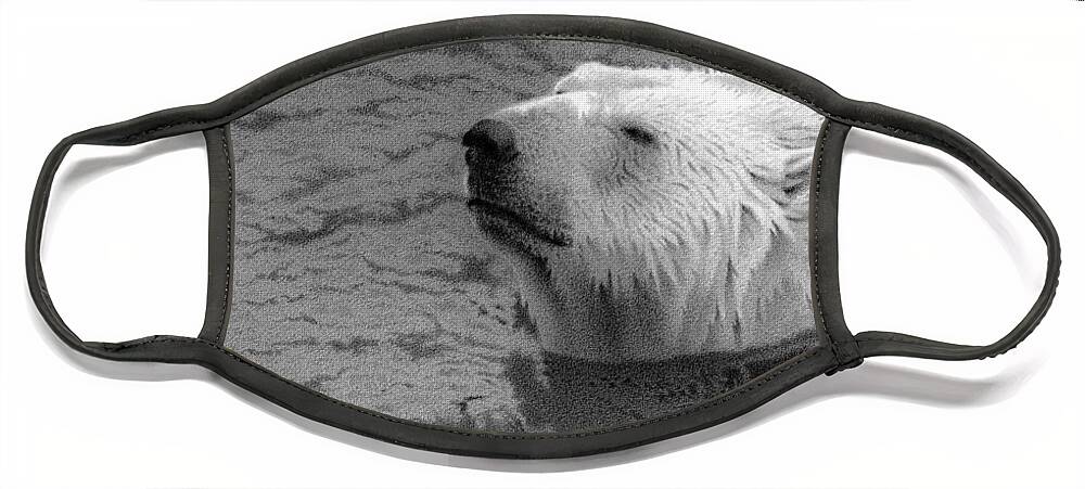 Polar Bear Face Mask featuring the drawing Catching the Scent by Stirring Images