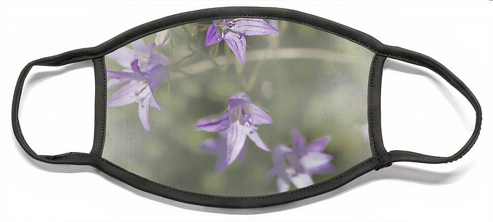 Flower Face Mask featuring the photograph Dainty Purple Flowers by Elaine Teague