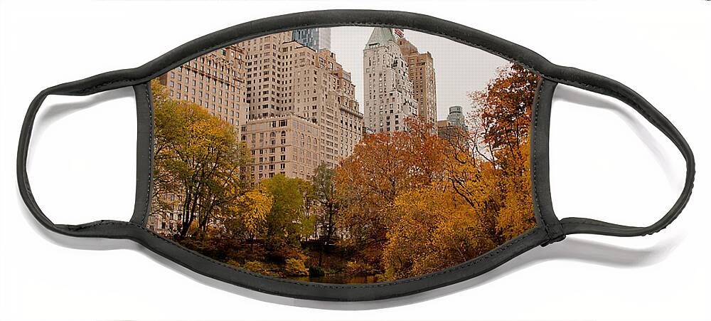 New York City Face Mask featuring the photograph Central Park by David Pratt