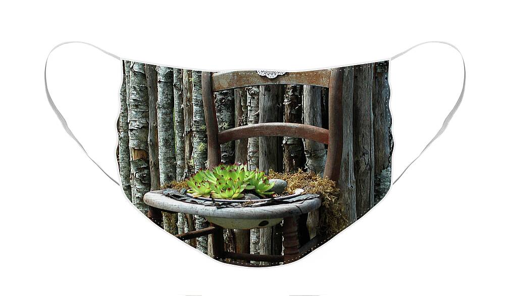 Planter Face Mask featuring the photograph Chair planter by Ron Roberts